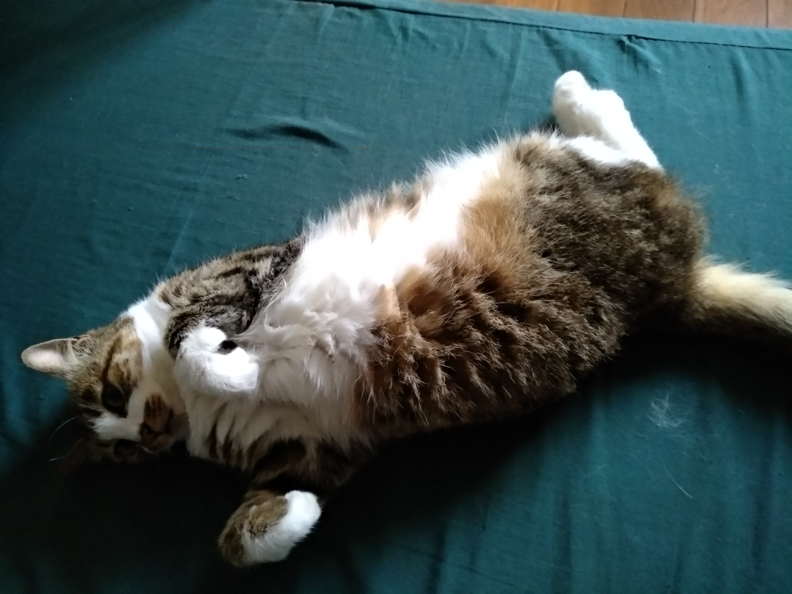 IMG 20190608 183844 HHT